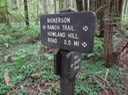 Redwoods_D_8