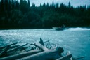 Salmon_fishing_11