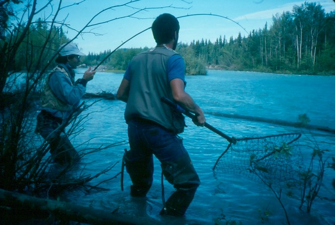 Salmon_fishing_14