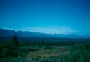 Salmon_fishing_3