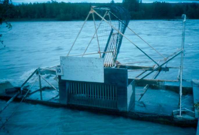 Salmon_fishing_44