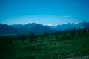 Salmon_fishing_4
