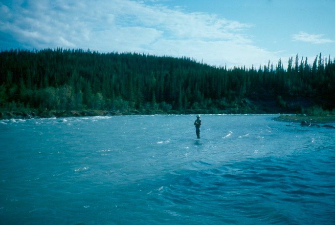 Salmon_fishing_50
