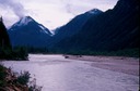 SalmonGlC02