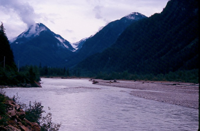 SalmonGlC02