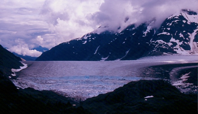 SalmonGlG03