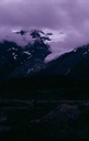 SalmonGlH01