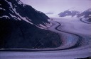 SalmonGlK