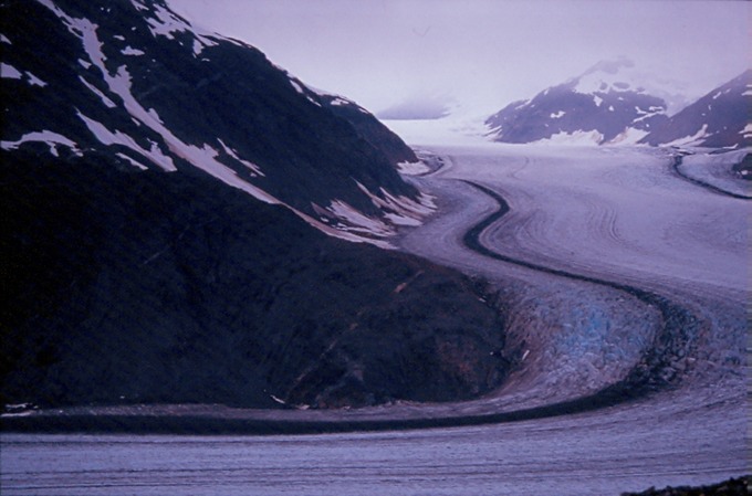 SalmonGlK