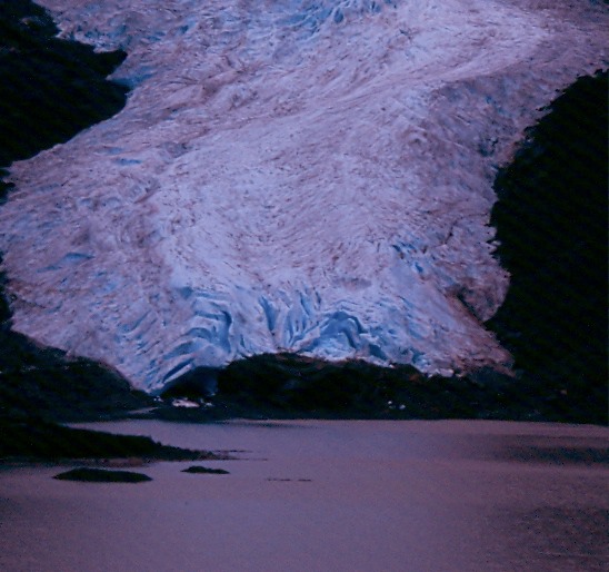 SalmonGlL02
