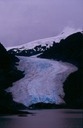 SalmonGlL03