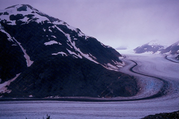 SalmonGlM01