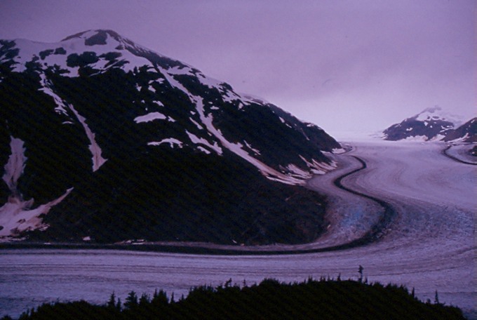 SalmonGlM02