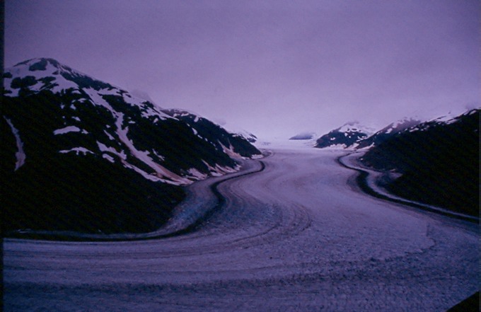SalmonGlN01