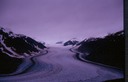 SalmonGlN03