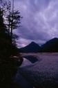 SalmonGlP01