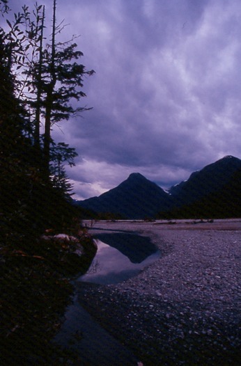 SalmonGlP01