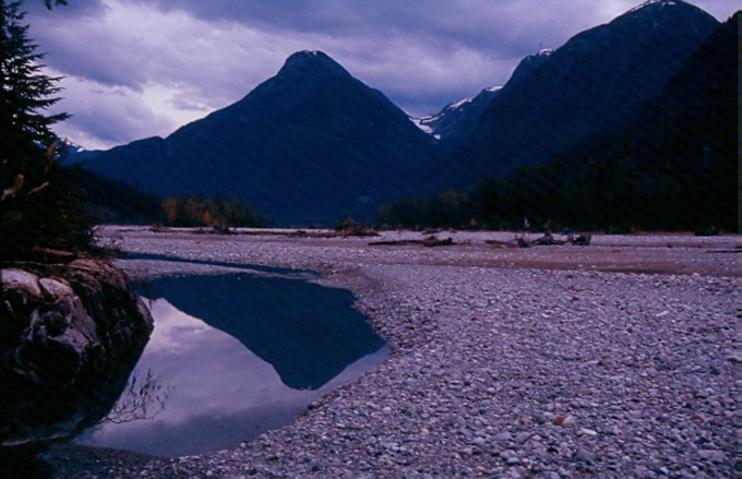 SalmonGlP02