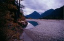 SalmonGlP