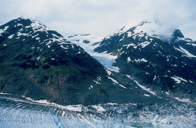 SalmonGlR02