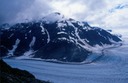 SalmonGlR