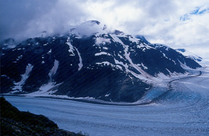 SalmonGlR