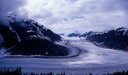 SalmonGlT01