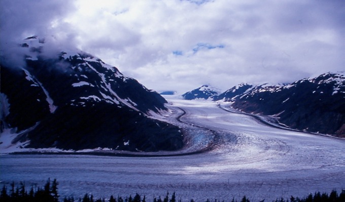 SalmonGlT01