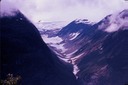 SalmonGlT03