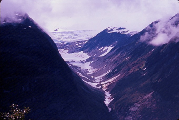 SalmonGlT03
