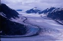 SalmonGlT