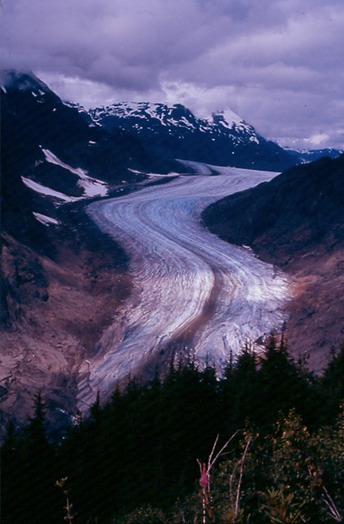 SalmonGlV01