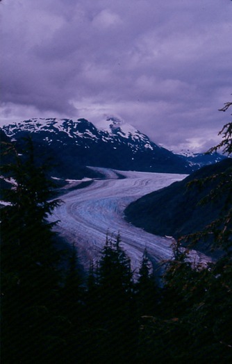 SalmonGlV03