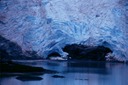 SalmonGlW01