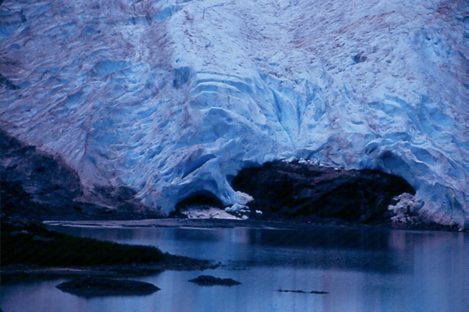 SalmonGlW01