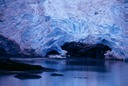 SalmonGlW02
