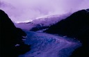 SalmonGlW03