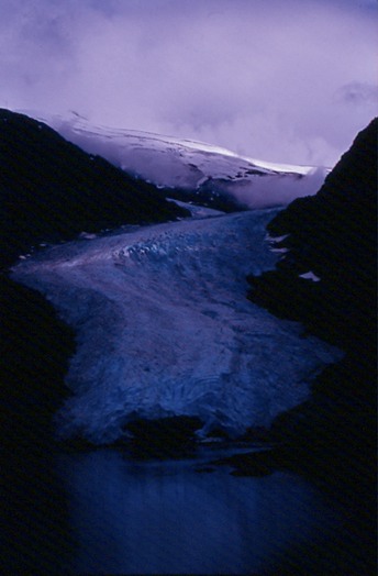 SalmonGlX01