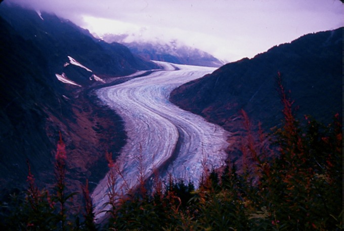 SalmonGlZD01