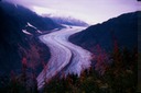 SalmonGlZD01