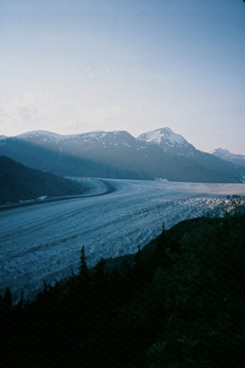 SalmonGlZF01