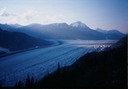 SalmonGlZF02