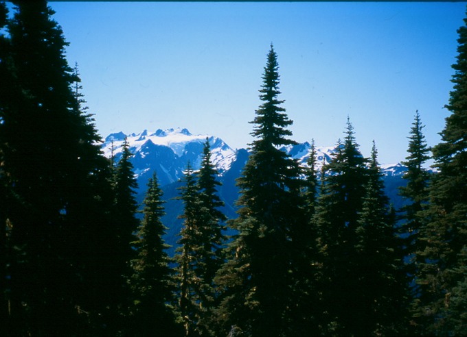 SevenLksBsb_Ca-3