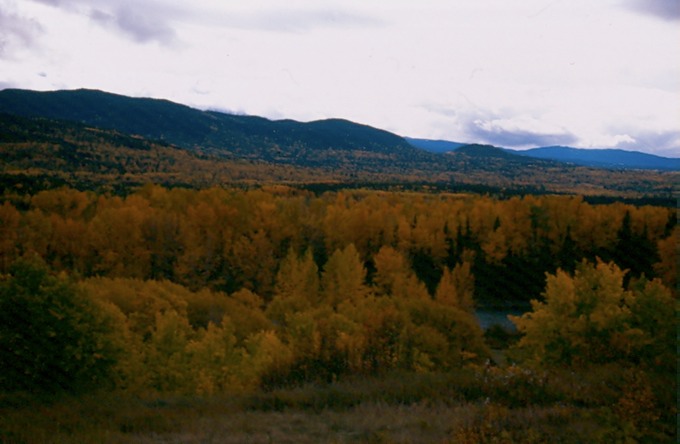 SmithersC03