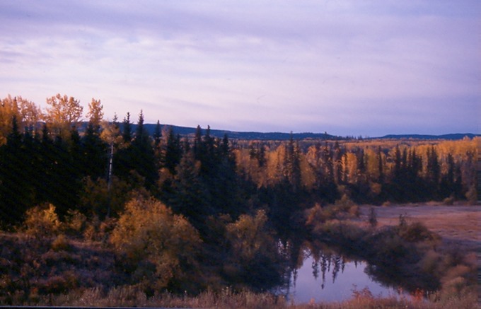 SmithersD02