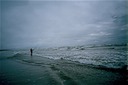 SurfFishingA01
