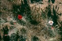 Sxox4B5zS4GdSv4x4Lm1Bg_thumb_5638