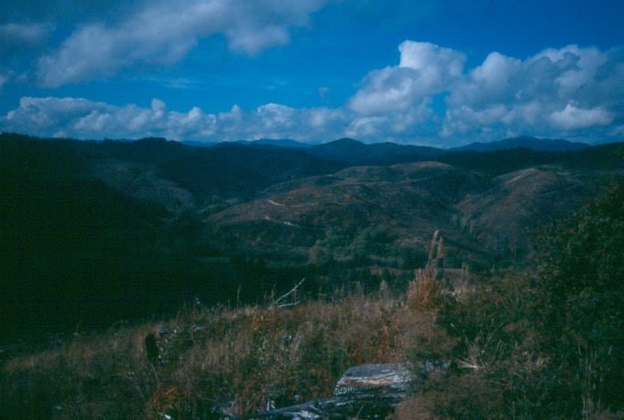 thumb_Hunting_II_e-1_1024