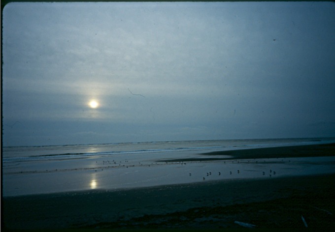 Tokeland01