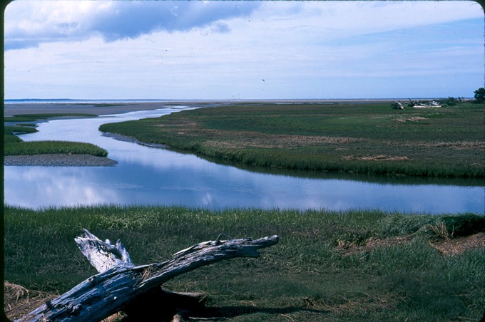 Tokeland03